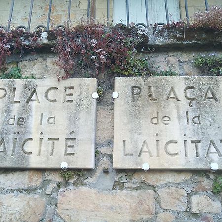 Au Pied Du Chateau - 5 A 11 Personnes - Baignade-Canoe-Piste Cyclable A 100 M Castelnaud La Chapelle Zewnętrze zdjęcie