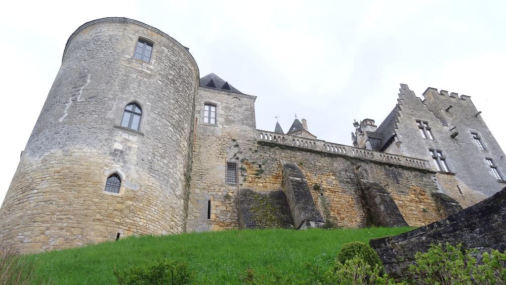 Au Pied Du Chateau - 5 A 11 Personnes - Baignade-Canoe-Piste Cyclable A 100 M Castelnaud La Chapelle Pokój zdjęcie