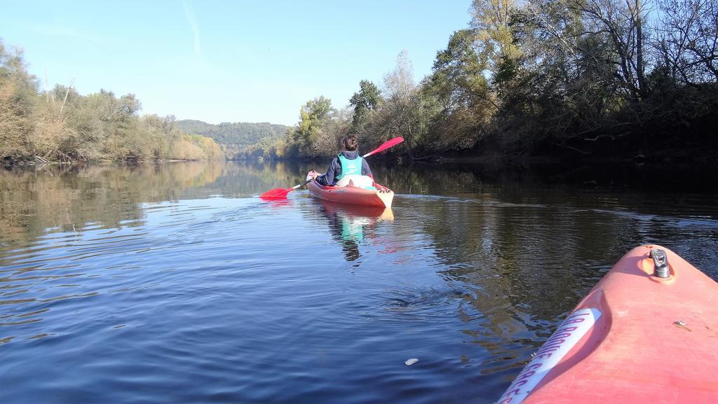 Au Pied Du Chateau - 5 A 11 Personnes - Baignade-Canoe-Piste Cyclable A 100 M Castelnaud La Chapelle Zewnętrze zdjęcie