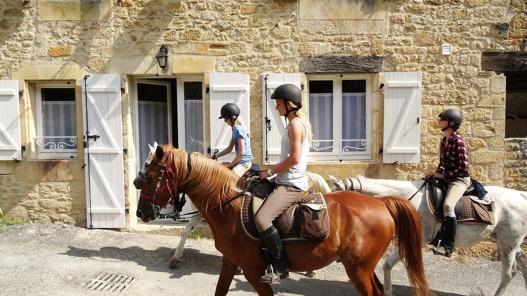 Au Pied Du Chateau - 5 A 11 Personnes - Baignade-Canoe-Piste Cyclable A 100 M Castelnaud La Chapelle Zewnętrze zdjęcie
