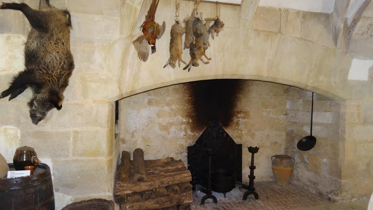 Au Pied Du Chateau - 5 A 11 Personnes - Baignade-Canoe-Piste Cyclable A 100 M Castelnaud La Chapelle Zewnętrze zdjęcie